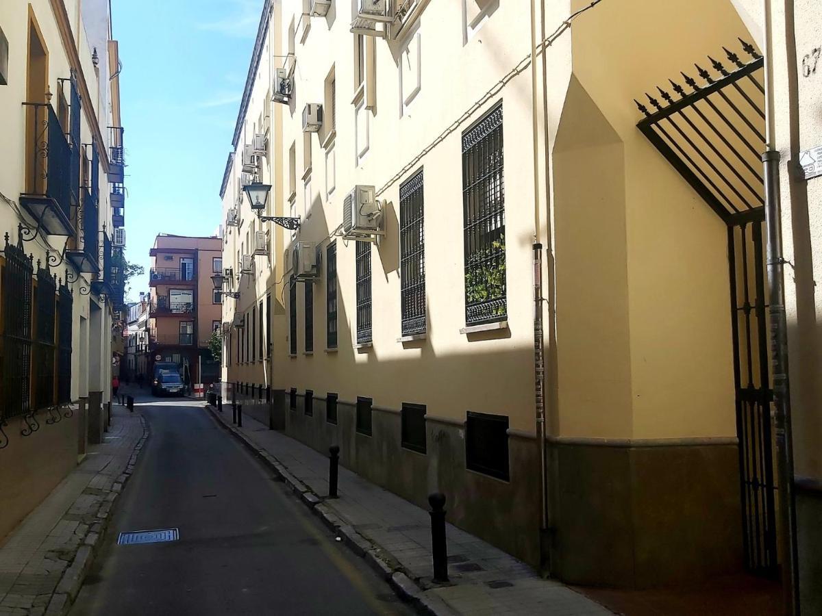 Enladrillada.Parking Incluido.Cuna Del Flamenco Sevilla Eksteriør billede